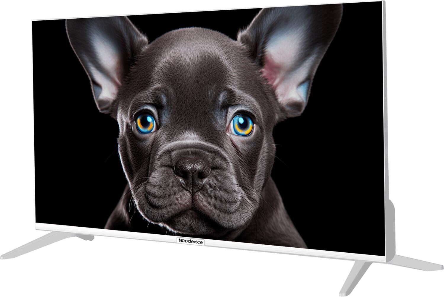 TOPDEVICE TDTV24CS08H_WE HD белый — изображение 2