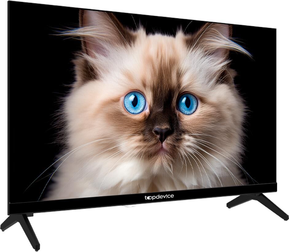 TOPDEVICE TV TDTV24CN04H HD — изображение 5