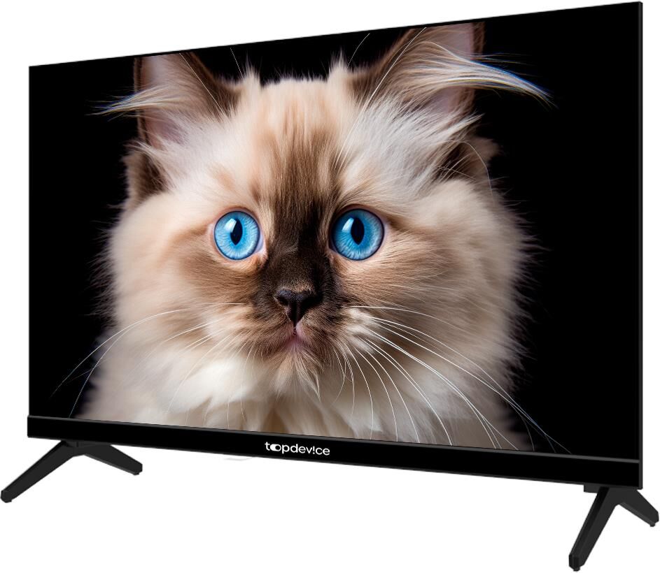 TOPDEVICE TV TDTV24CN04H HD — изображение 6