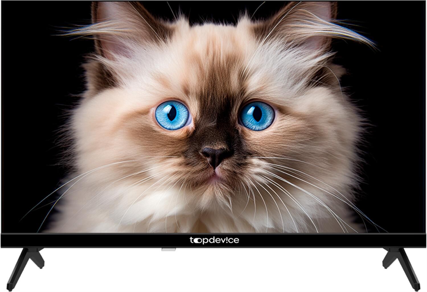 TOPDEVICE TV TDTV24CN04H HD — изображение 7