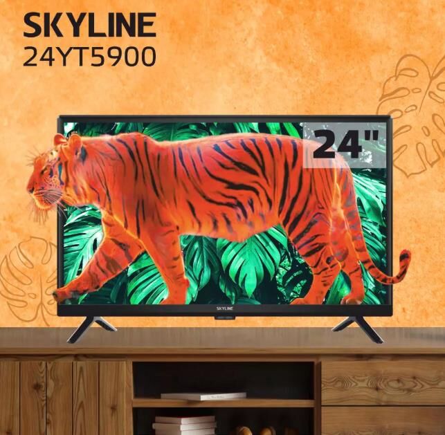 SKYLINE 24YT5900 HD — изображение 9