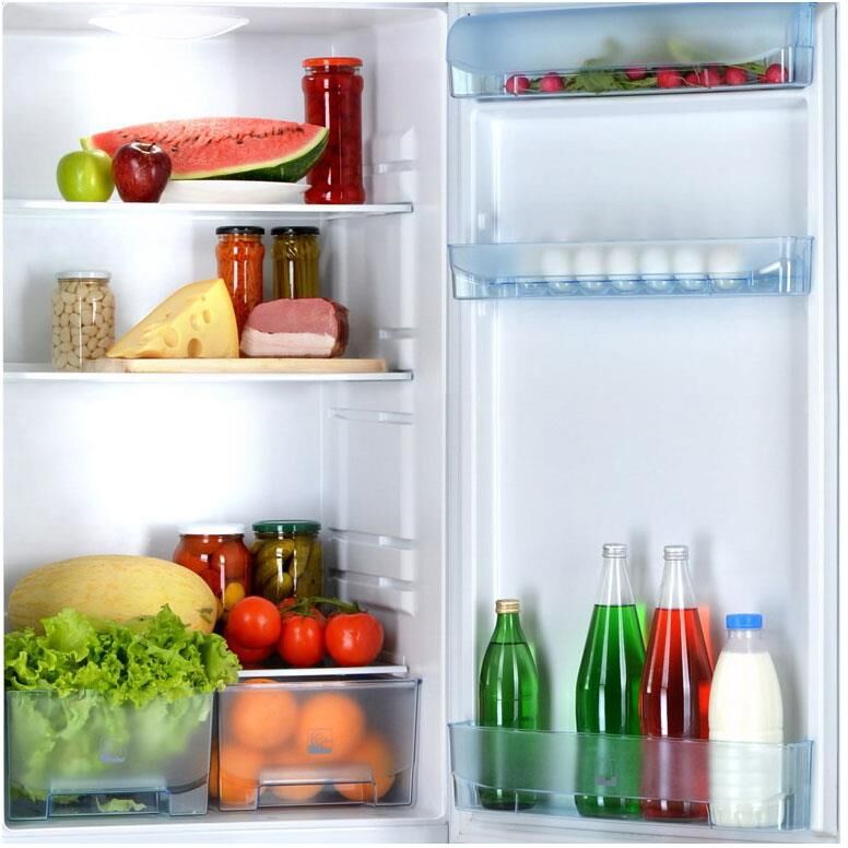 POZIS RK-102 285л серебристый металлопласт — изображение 3