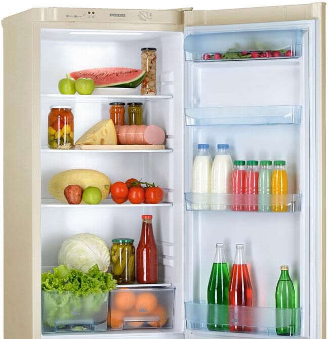 POZIS RK-103 340л бежевый — изображение 3