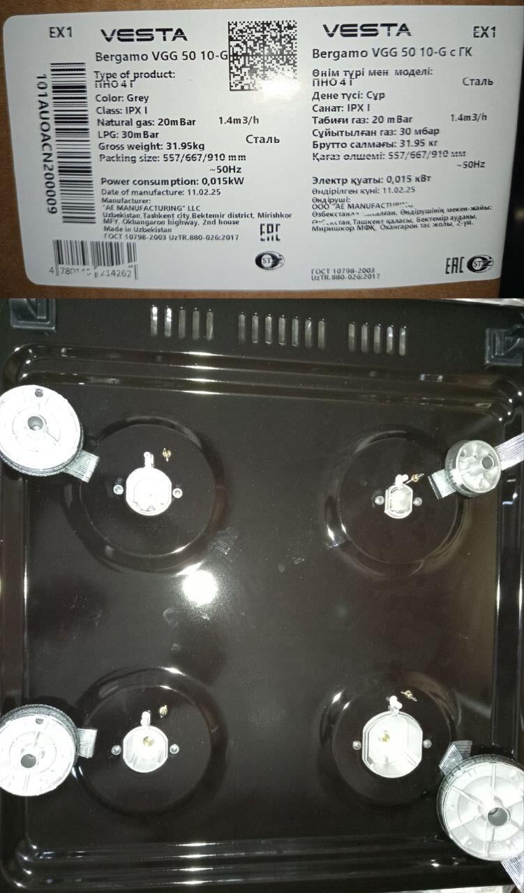 VESTA Valencia VGE 50 10-E Серый ГК — изображение 2