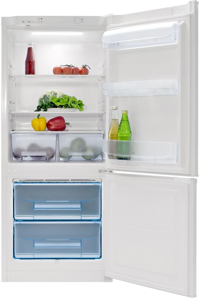 POZIS RK-101 250л серебристый — изображение 3