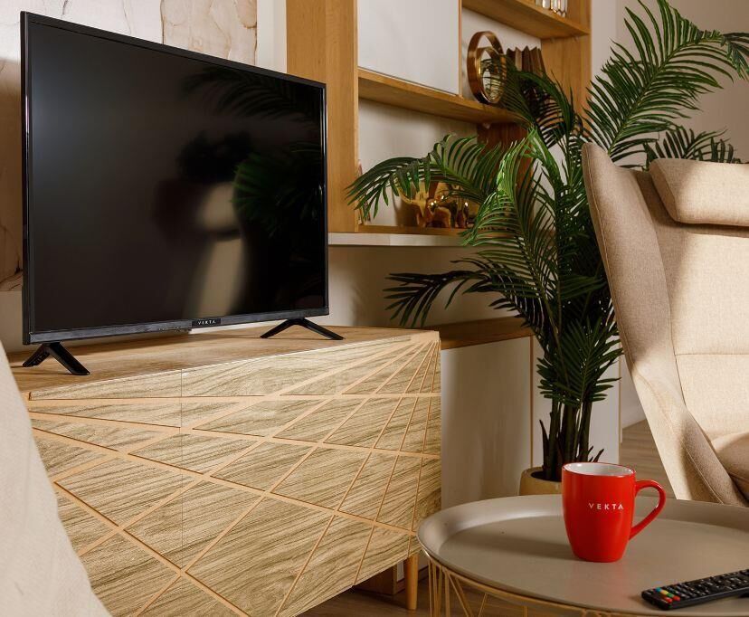 VEKTA LD-43SF4850BS SMART TV FullHD — изображение 4