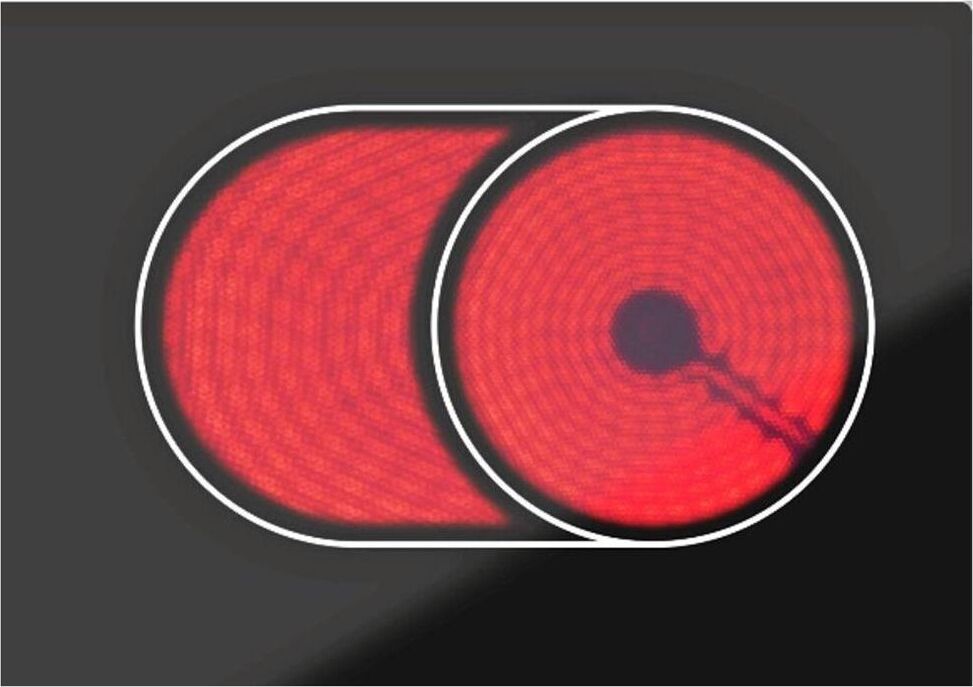 ДАРИНА 4P E 329 B — изображение 4