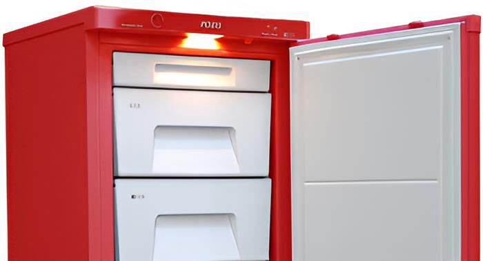 POZIS FV-115 163л рубиновый — изображение 3